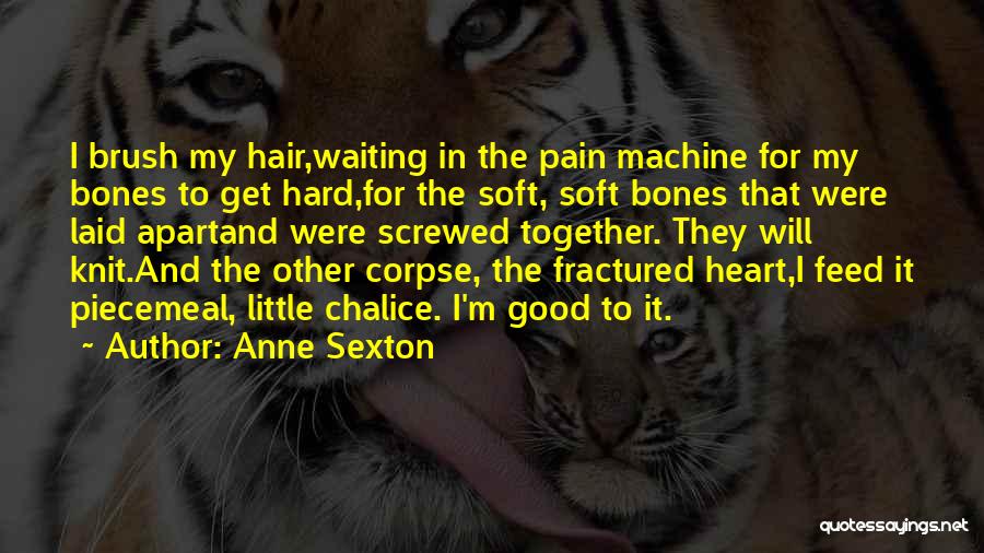 Anne Sexton Quotes: I Brush My Hair,waiting In The Pain Machine For My Bones To Get Hard,for The Soft, Soft Bones That Were