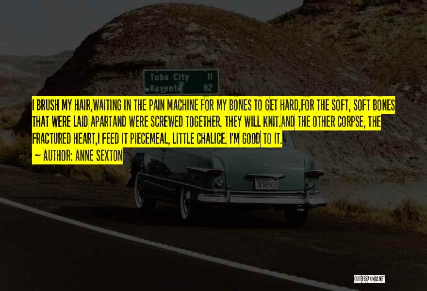 Anne Sexton Quotes: I Brush My Hair,waiting In The Pain Machine For My Bones To Get Hard,for The Soft, Soft Bones That Were