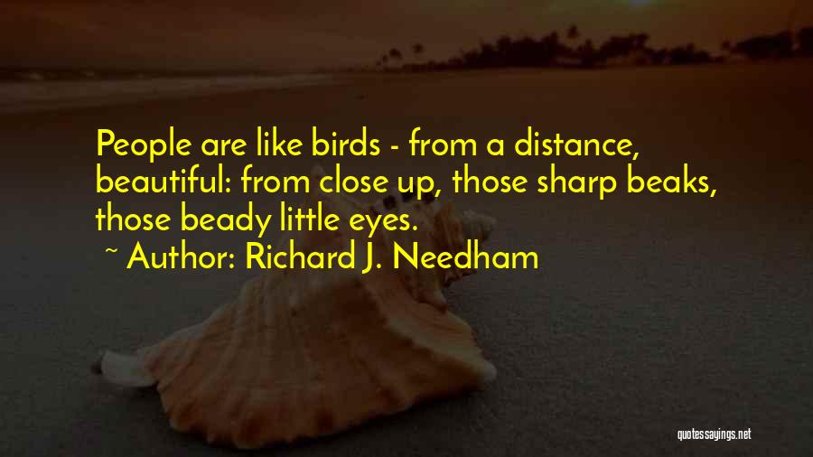 Richard J. Needham Quotes: People Are Like Birds - From A Distance, Beautiful: From Close Up, Those Sharp Beaks, Those Beady Little Eyes.