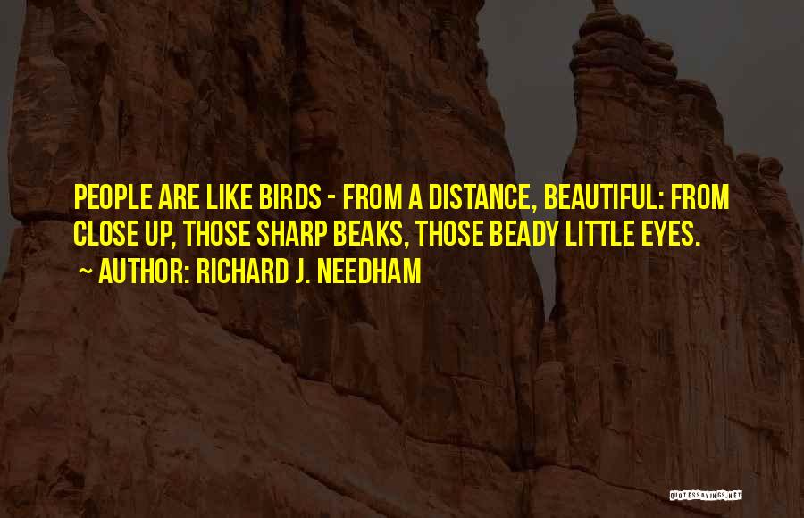 Richard J. Needham Quotes: People Are Like Birds - From A Distance, Beautiful: From Close Up, Those Sharp Beaks, Those Beady Little Eyes.