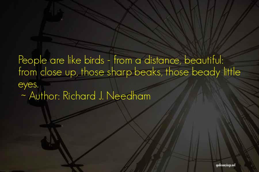 Richard J. Needham Quotes: People Are Like Birds - From A Distance, Beautiful: From Close Up, Those Sharp Beaks, Those Beady Little Eyes.