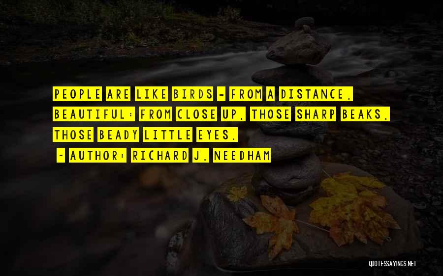 Richard J. Needham Quotes: People Are Like Birds - From A Distance, Beautiful: From Close Up, Those Sharp Beaks, Those Beady Little Eyes.