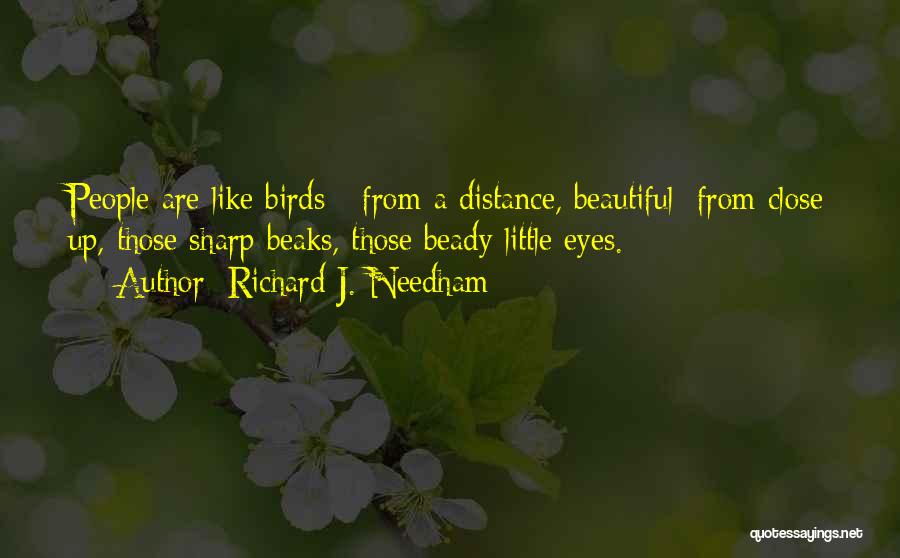Richard J. Needham Quotes: People Are Like Birds - From A Distance, Beautiful: From Close Up, Those Sharp Beaks, Those Beady Little Eyes.