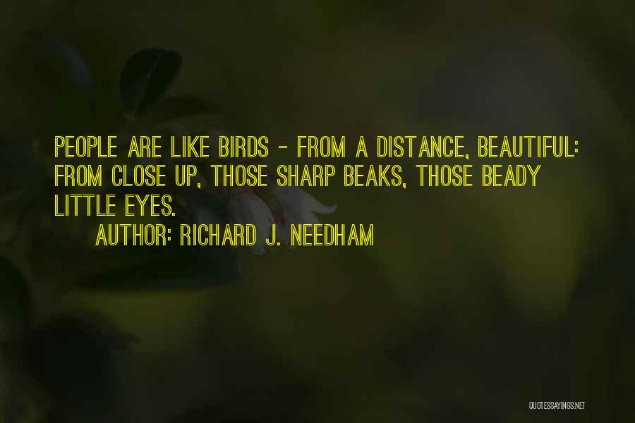 Richard J. Needham Quotes: People Are Like Birds - From A Distance, Beautiful: From Close Up, Those Sharp Beaks, Those Beady Little Eyes.