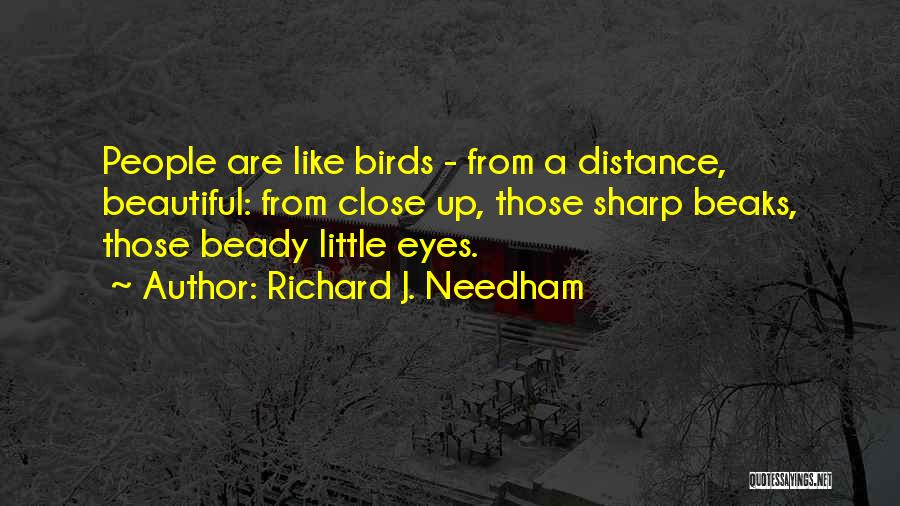 Richard J. Needham Quotes: People Are Like Birds - From A Distance, Beautiful: From Close Up, Those Sharp Beaks, Those Beady Little Eyes.