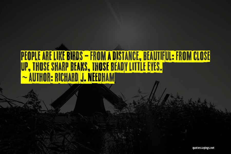 Richard J. Needham Quotes: People Are Like Birds - From A Distance, Beautiful: From Close Up, Those Sharp Beaks, Those Beady Little Eyes.