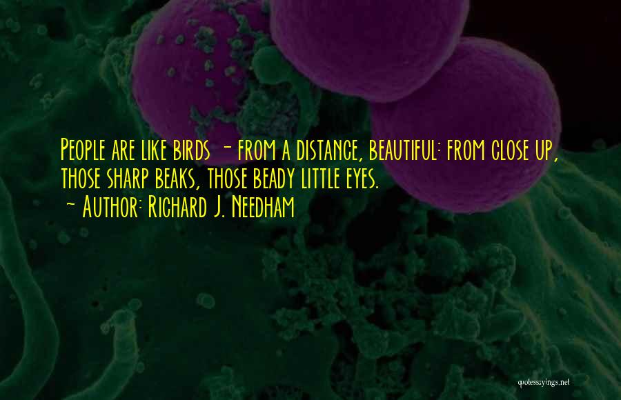 Richard J. Needham Quotes: People Are Like Birds - From A Distance, Beautiful: From Close Up, Those Sharp Beaks, Those Beady Little Eyes.