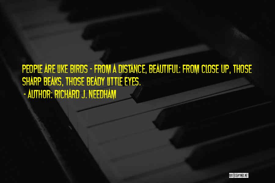Richard J. Needham Quotes: People Are Like Birds - From A Distance, Beautiful: From Close Up, Those Sharp Beaks, Those Beady Little Eyes.