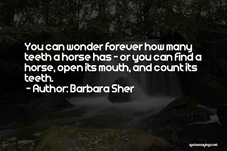 Barbara Sher Quotes: You Can Wonder Forever How Many Teeth A Horse Has - Or You Can Find A Horse, Open Its Mouth,