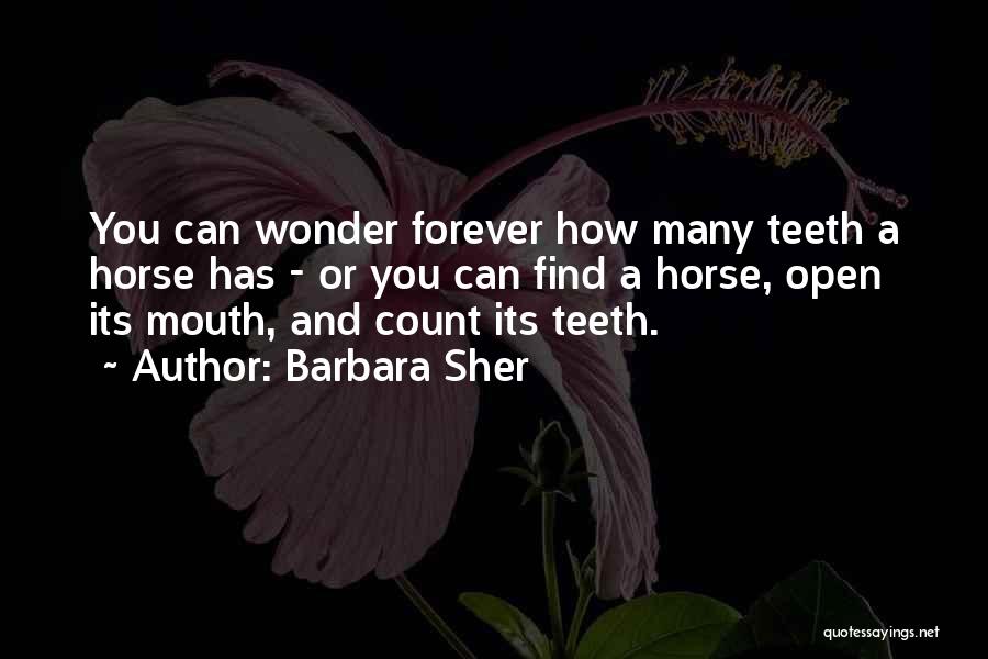 Barbara Sher Quotes: You Can Wonder Forever How Many Teeth A Horse Has - Or You Can Find A Horse, Open Its Mouth,