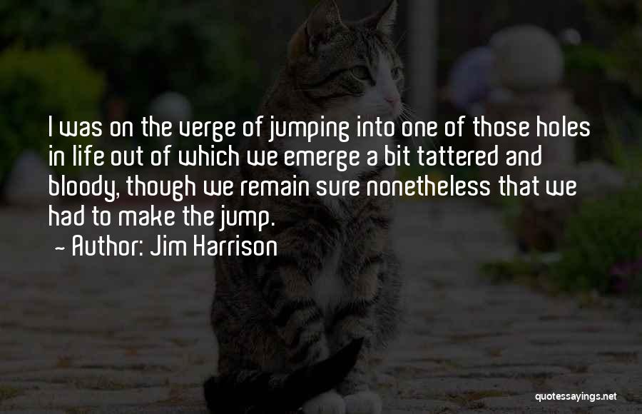 Jim Harrison Quotes: I Was On The Verge Of Jumping Into One Of Those Holes In Life Out Of Which We Emerge A