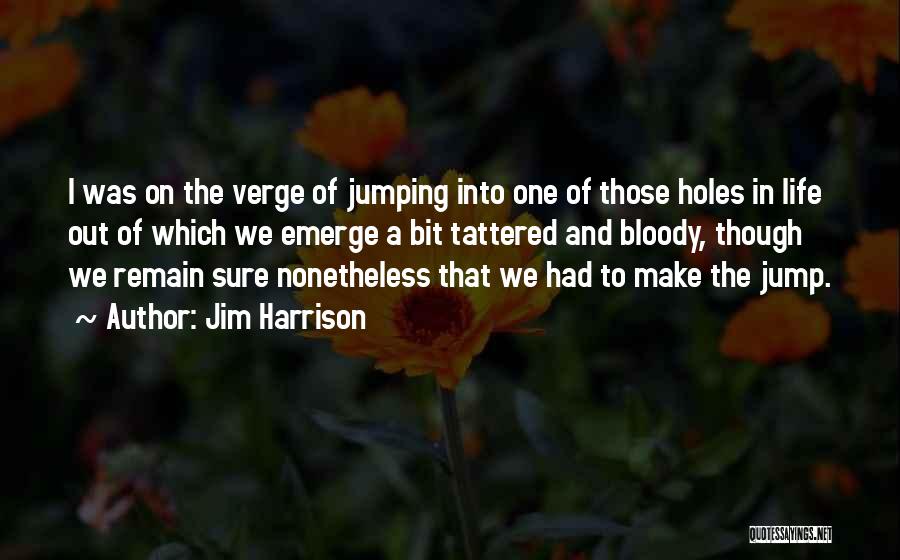 Jim Harrison Quotes: I Was On The Verge Of Jumping Into One Of Those Holes In Life Out Of Which We Emerge A
