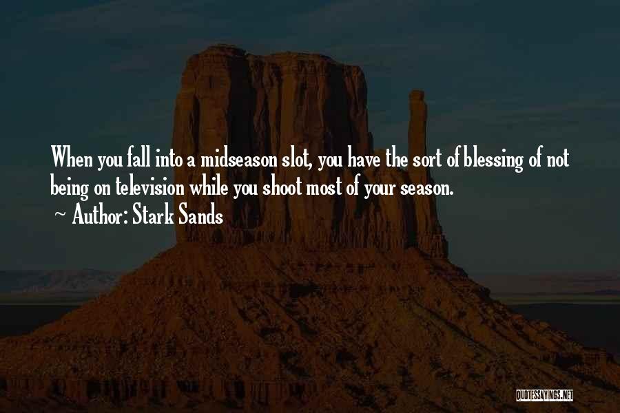 Stark Sands Quotes: When You Fall Into A Midseason Slot, You Have The Sort Of Blessing Of Not Being On Television While You