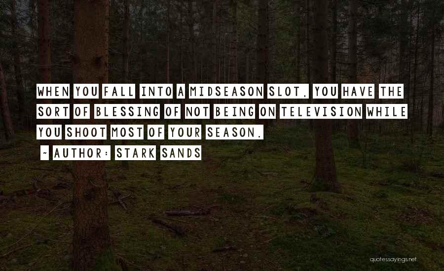 Stark Sands Quotes: When You Fall Into A Midseason Slot, You Have The Sort Of Blessing Of Not Being On Television While You