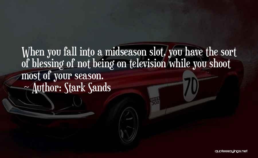 Stark Sands Quotes: When You Fall Into A Midseason Slot, You Have The Sort Of Blessing Of Not Being On Television While You