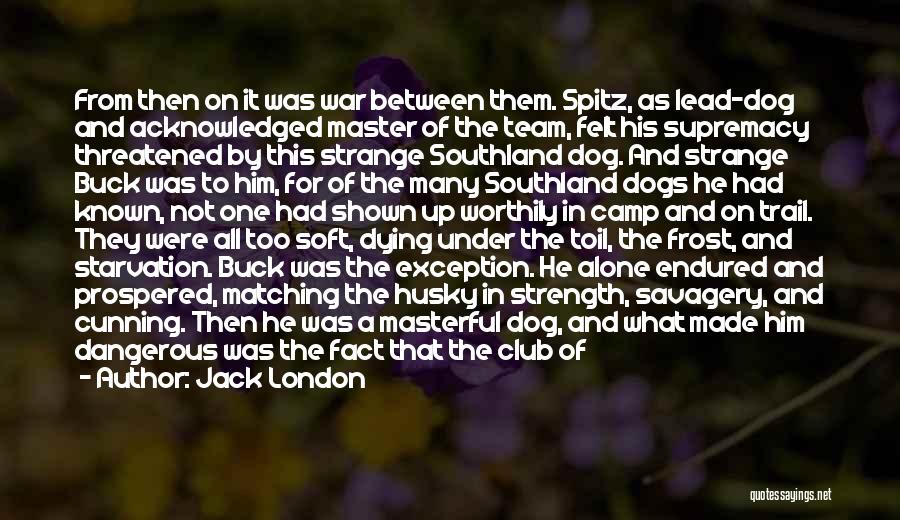 Jack London Quotes: From Then On It Was War Between Them. Spitz, As Lead-dog And Acknowledged Master Of The Team, Felt His Supremacy