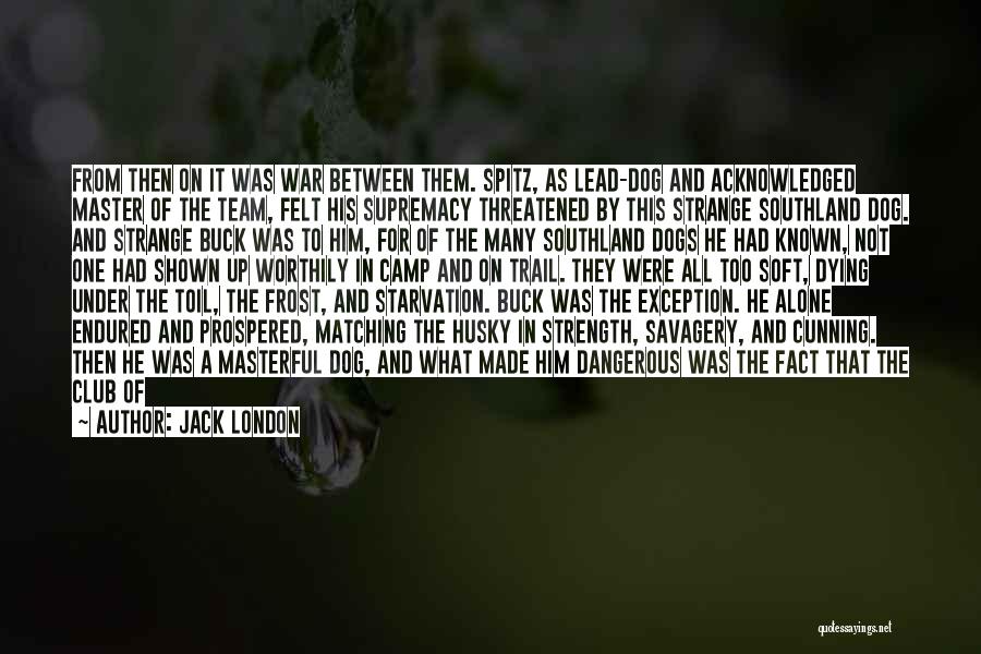 Jack London Quotes: From Then On It Was War Between Them. Spitz, As Lead-dog And Acknowledged Master Of The Team, Felt His Supremacy