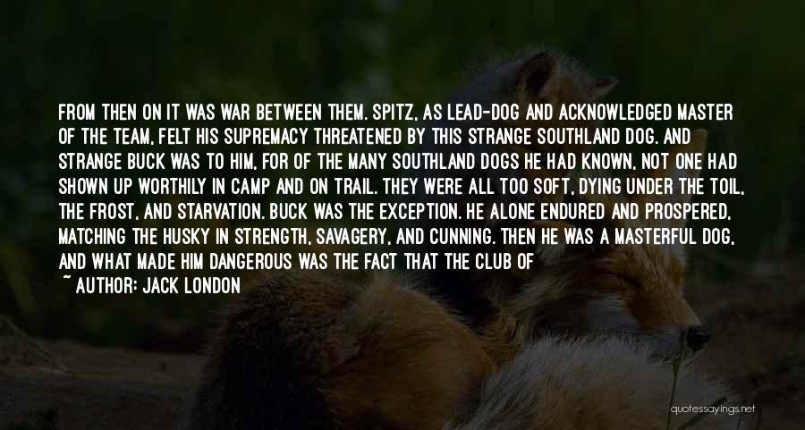 Jack London Quotes: From Then On It Was War Between Them. Spitz, As Lead-dog And Acknowledged Master Of The Team, Felt His Supremacy
