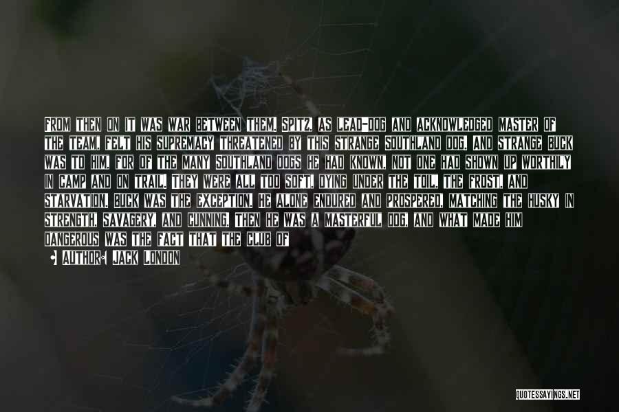 Jack London Quotes: From Then On It Was War Between Them. Spitz, As Lead-dog And Acknowledged Master Of The Team, Felt His Supremacy