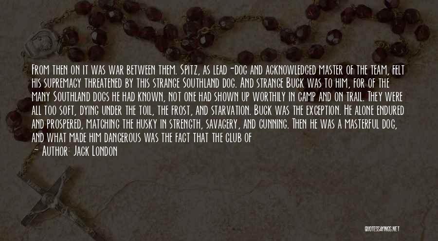 Jack London Quotes: From Then On It Was War Between Them. Spitz, As Lead-dog And Acknowledged Master Of The Team, Felt His Supremacy