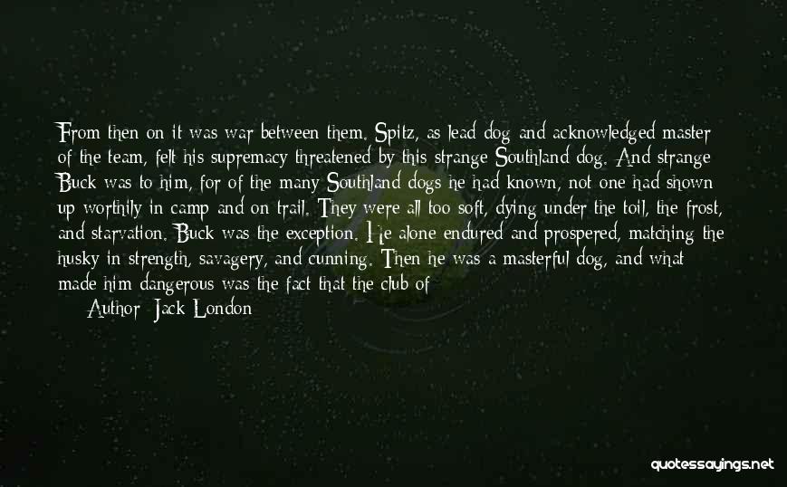 Jack London Quotes: From Then On It Was War Between Them. Spitz, As Lead-dog And Acknowledged Master Of The Team, Felt His Supremacy