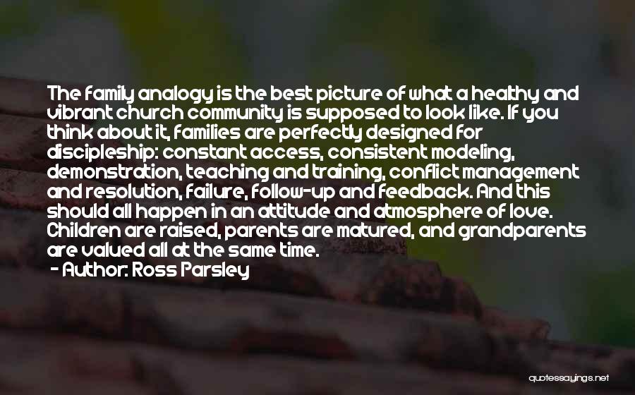 Ross Parsley Quotes: The Family Analogy Is The Best Picture Of What A Healthy And Vibrant Church Community Is Supposed To Look Like.