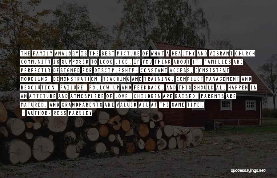 Ross Parsley Quotes: The Family Analogy Is The Best Picture Of What A Healthy And Vibrant Church Community Is Supposed To Look Like.