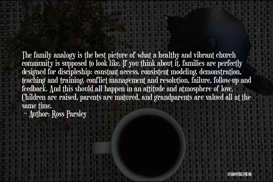 Ross Parsley Quotes: The Family Analogy Is The Best Picture Of What A Healthy And Vibrant Church Community Is Supposed To Look Like.