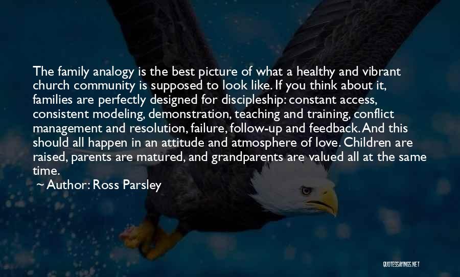 Ross Parsley Quotes: The Family Analogy Is The Best Picture Of What A Healthy And Vibrant Church Community Is Supposed To Look Like.