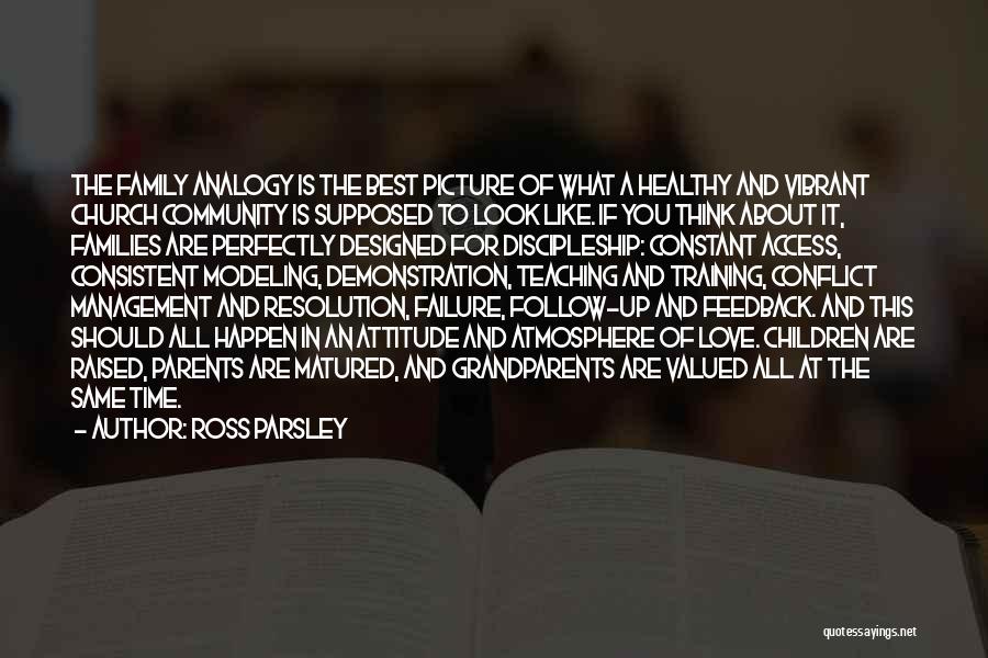 Ross Parsley Quotes: The Family Analogy Is The Best Picture Of What A Healthy And Vibrant Church Community Is Supposed To Look Like.