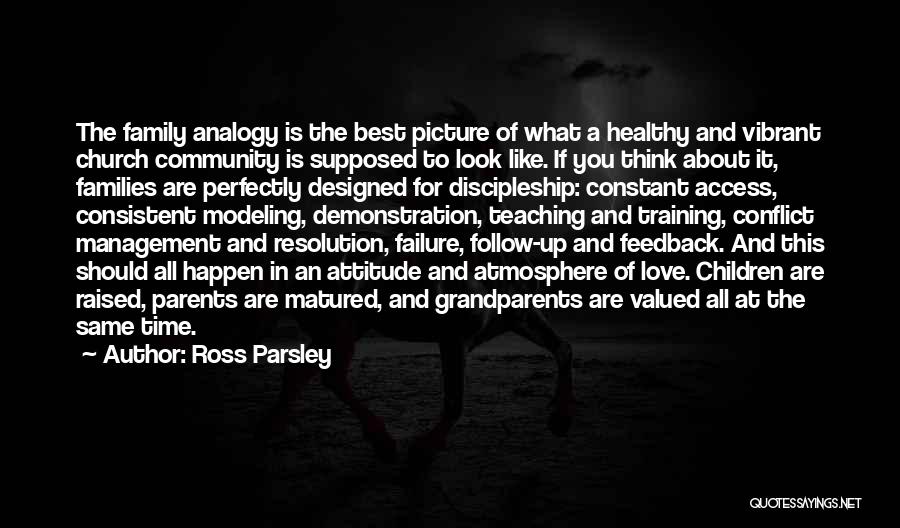 Ross Parsley Quotes: The Family Analogy Is The Best Picture Of What A Healthy And Vibrant Church Community Is Supposed To Look Like.