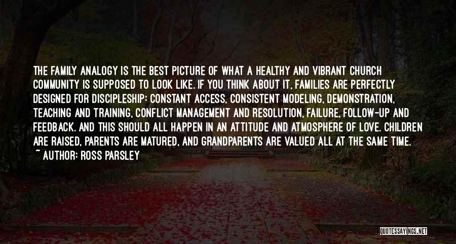 Ross Parsley Quotes: The Family Analogy Is The Best Picture Of What A Healthy And Vibrant Church Community Is Supposed To Look Like.