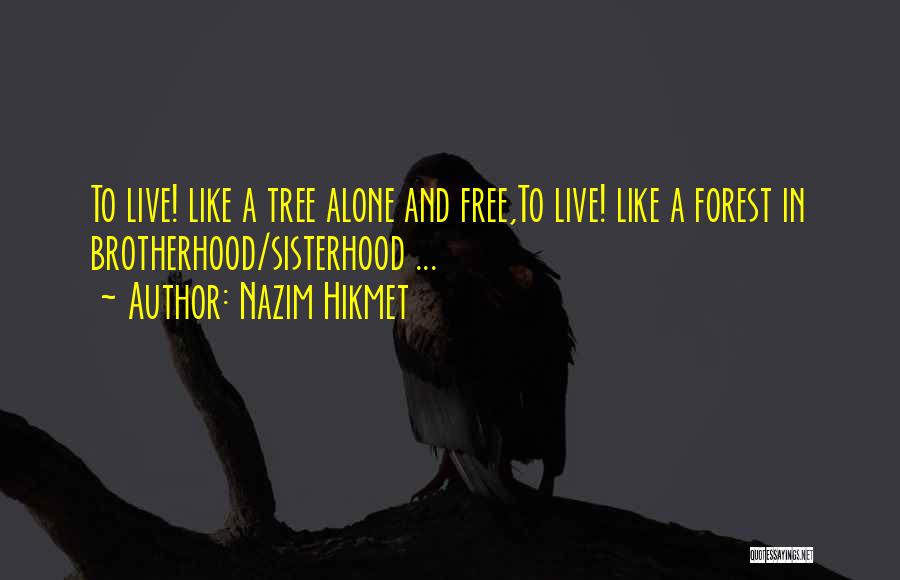 Nazim Hikmet Quotes: To Live! Like A Tree Alone And Free,to Live! Like A Forest In Brotherhood/sisterhood ...