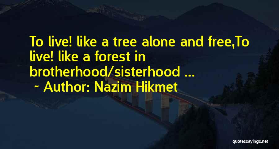 Nazim Hikmet Quotes: To Live! Like A Tree Alone And Free,to Live! Like A Forest In Brotherhood/sisterhood ...