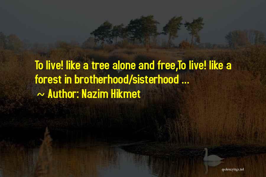 Nazim Hikmet Quotes: To Live! Like A Tree Alone And Free,to Live! Like A Forest In Brotherhood/sisterhood ...