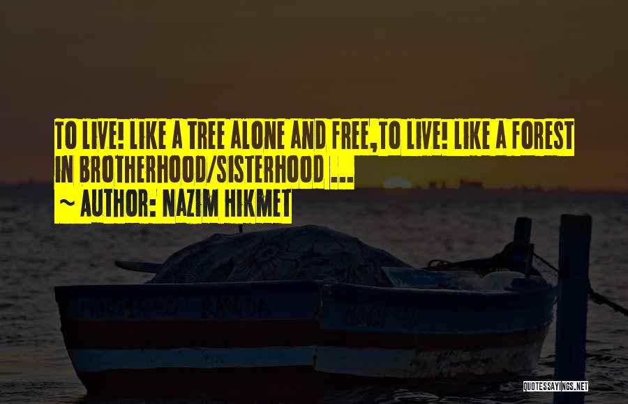 Nazim Hikmet Quotes: To Live! Like A Tree Alone And Free,to Live! Like A Forest In Brotherhood/sisterhood ...