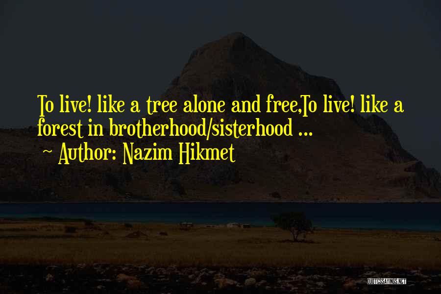 Nazim Hikmet Quotes: To Live! Like A Tree Alone And Free,to Live! Like A Forest In Brotherhood/sisterhood ...