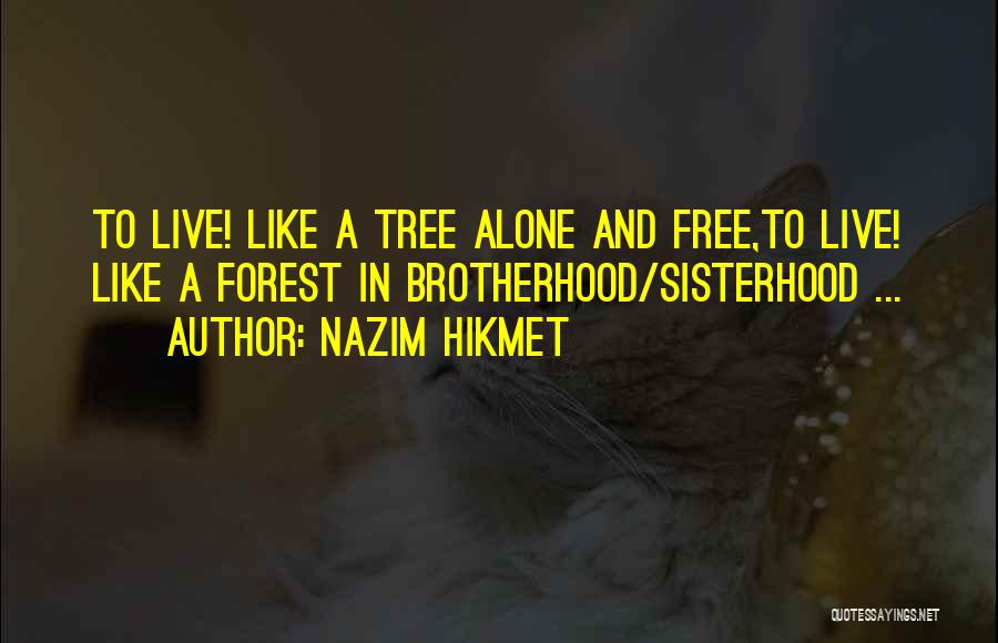 Nazim Hikmet Quotes: To Live! Like A Tree Alone And Free,to Live! Like A Forest In Brotherhood/sisterhood ...