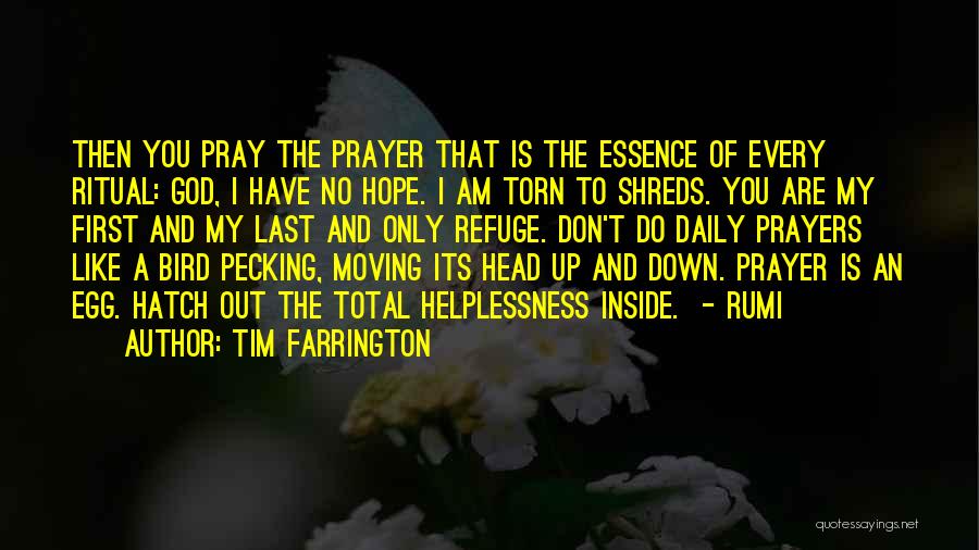 Tim Farrington Quotes: Then You Pray The Prayer That Is The Essence Of Every Ritual: God, I Have No Hope. I Am Torn