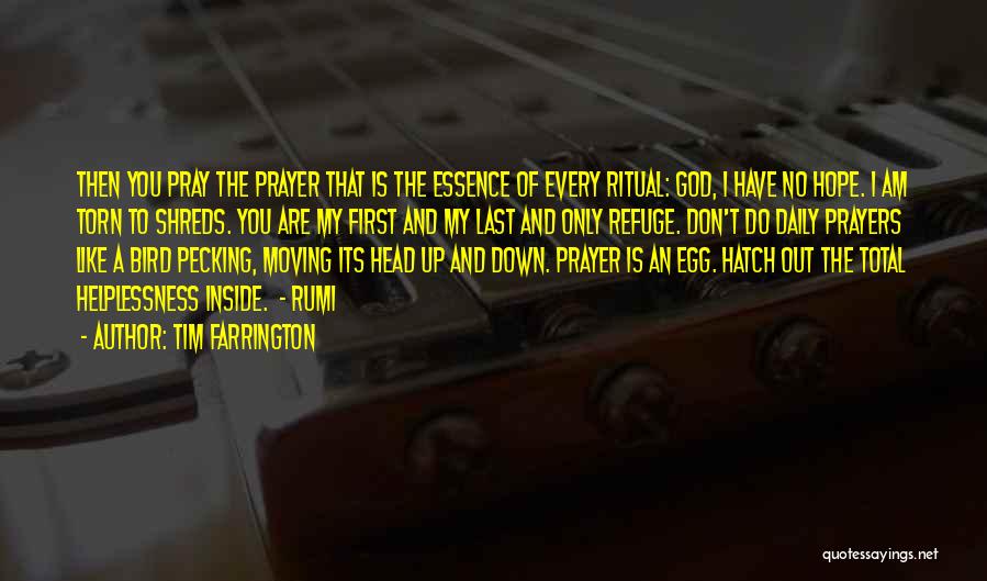 Tim Farrington Quotes: Then You Pray The Prayer That Is The Essence Of Every Ritual: God, I Have No Hope. I Am Torn