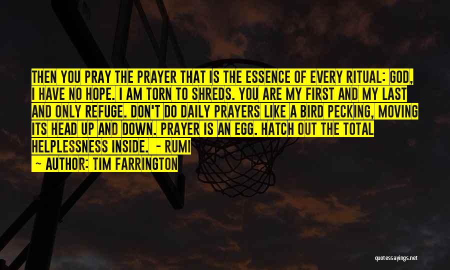 Tim Farrington Quotes: Then You Pray The Prayer That Is The Essence Of Every Ritual: God, I Have No Hope. I Am Torn