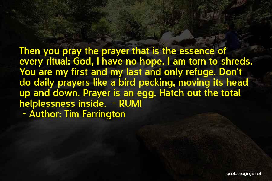 Tim Farrington Quotes: Then You Pray The Prayer That Is The Essence Of Every Ritual: God, I Have No Hope. I Am Torn