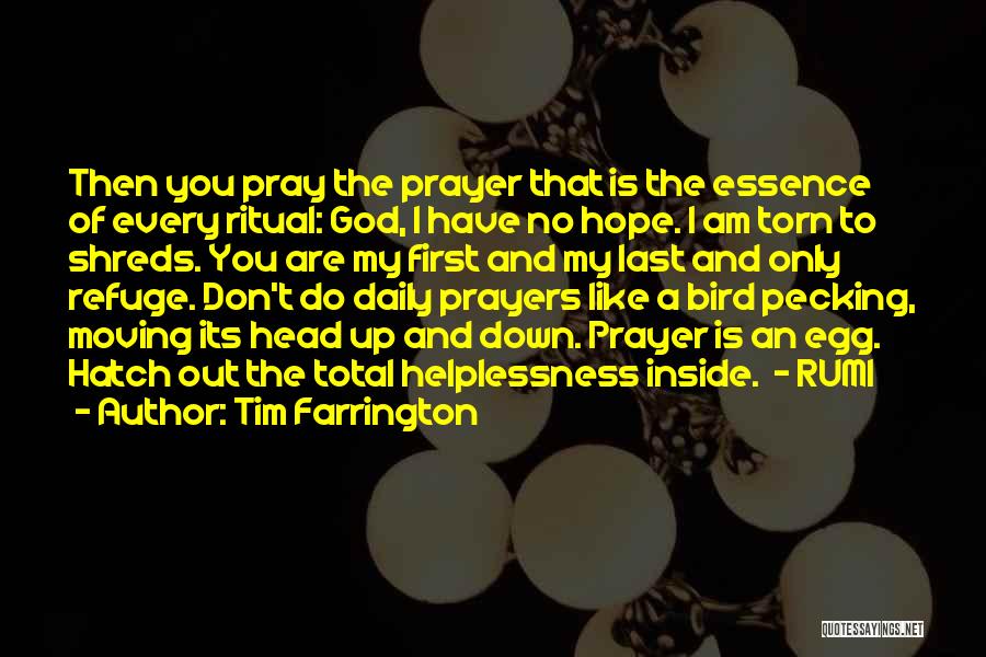 Tim Farrington Quotes: Then You Pray The Prayer That Is The Essence Of Every Ritual: God, I Have No Hope. I Am Torn