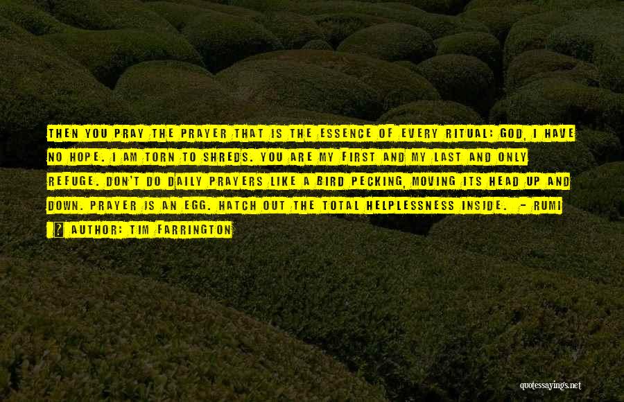 Tim Farrington Quotes: Then You Pray The Prayer That Is The Essence Of Every Ritual: God, I Have No Hope. I Am Torn