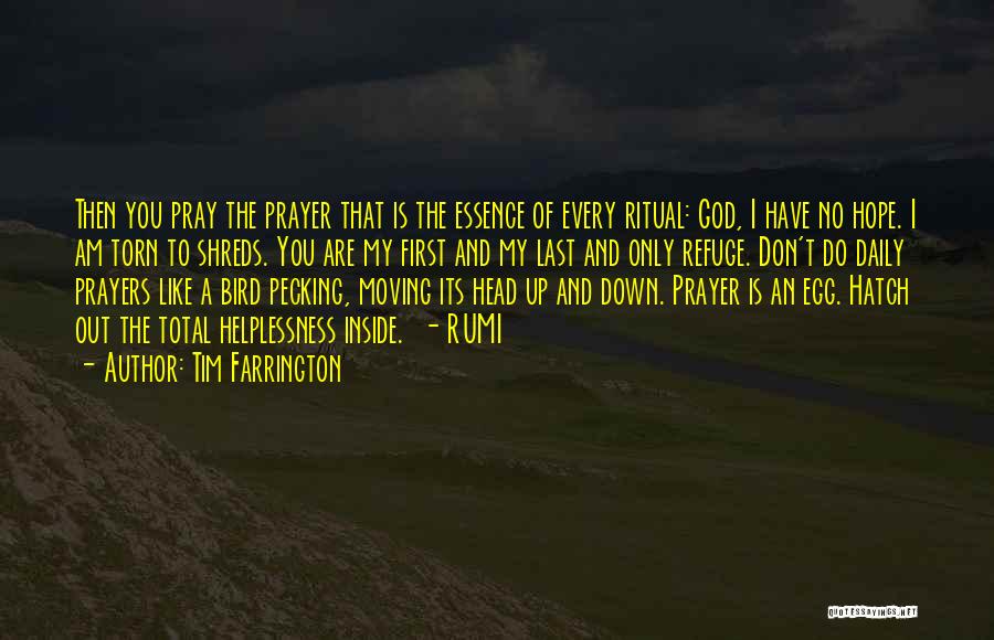 Tim Farrington Quotes: Then You Pray The Prayer That Is The Essence Of Every Ritual: God, I Have No Hope. I Am Torn