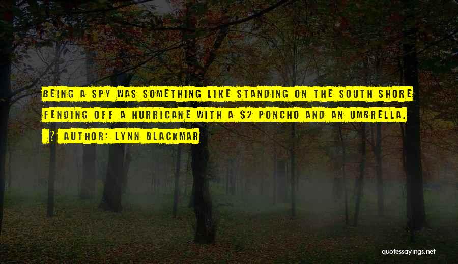 Lynn Blackmar Quotes: Being A Spy Was Something Like Standing On The South Shore Fending Off A Hurricane With A $2 Poncho And