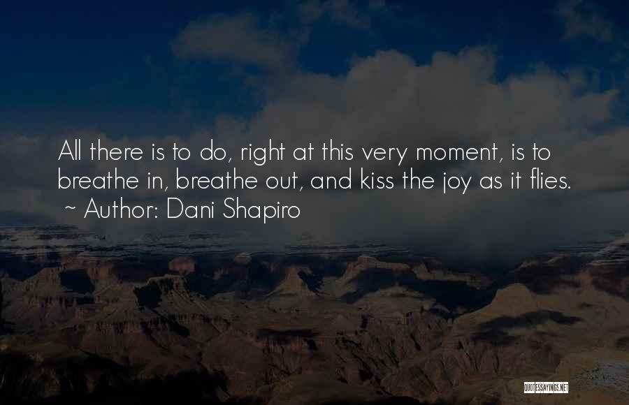 Dani Shapiro Quotes: All There Is To Do, Right At This Very Moment, Is To Breathe In, Breathe Out, And Kiss The Joy