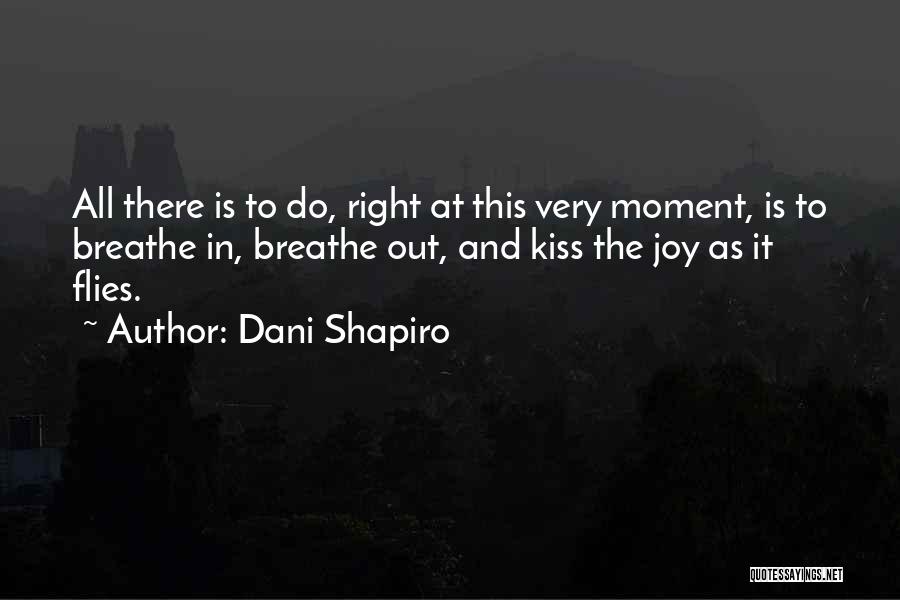 Dani Shapiro Quotes: All There Is To Do, Right At This Very Moment, Is To Breathe In, Breathe Out, And Kiss The Joy