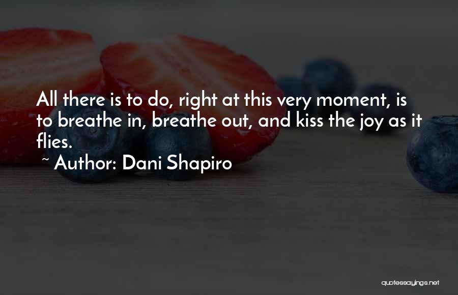 Dani Shapiro Quotes: All There Is To Do, Right At This Very Moment, Is To Breathe In, Breathe Out, And Kiss The Joy