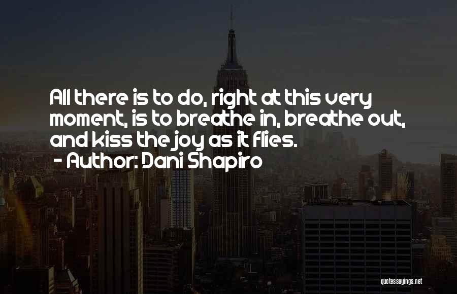 Dani Shapiro Quotes: All There Is To Do, Right At This Very Moment, Is To Breathe In, Breathe Out, And Kiss The Joy